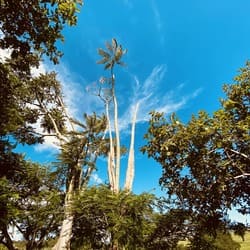 Cemitério em São José dos Campos - SP